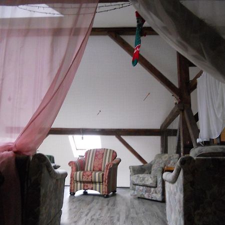 Cuibul Salamandrelor Hotel Сармизеджетуса Екстериор снимка