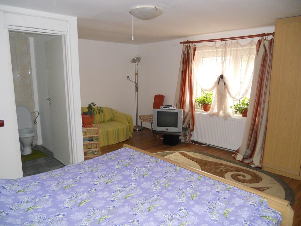 Cuibul Salamandrelor Hotel Сармизеджетуса Екстериор снимка