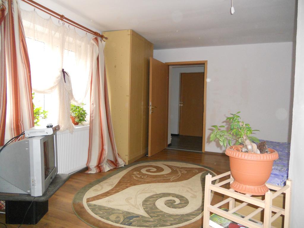 Cuibul Salamandrelor Hotel Сармизеджетуса Екстериор снимка