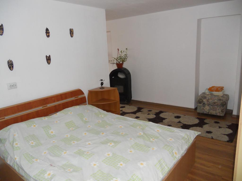 Cuibul Salamandrelor Hotel Сармизеджетуса Екстериор снимка