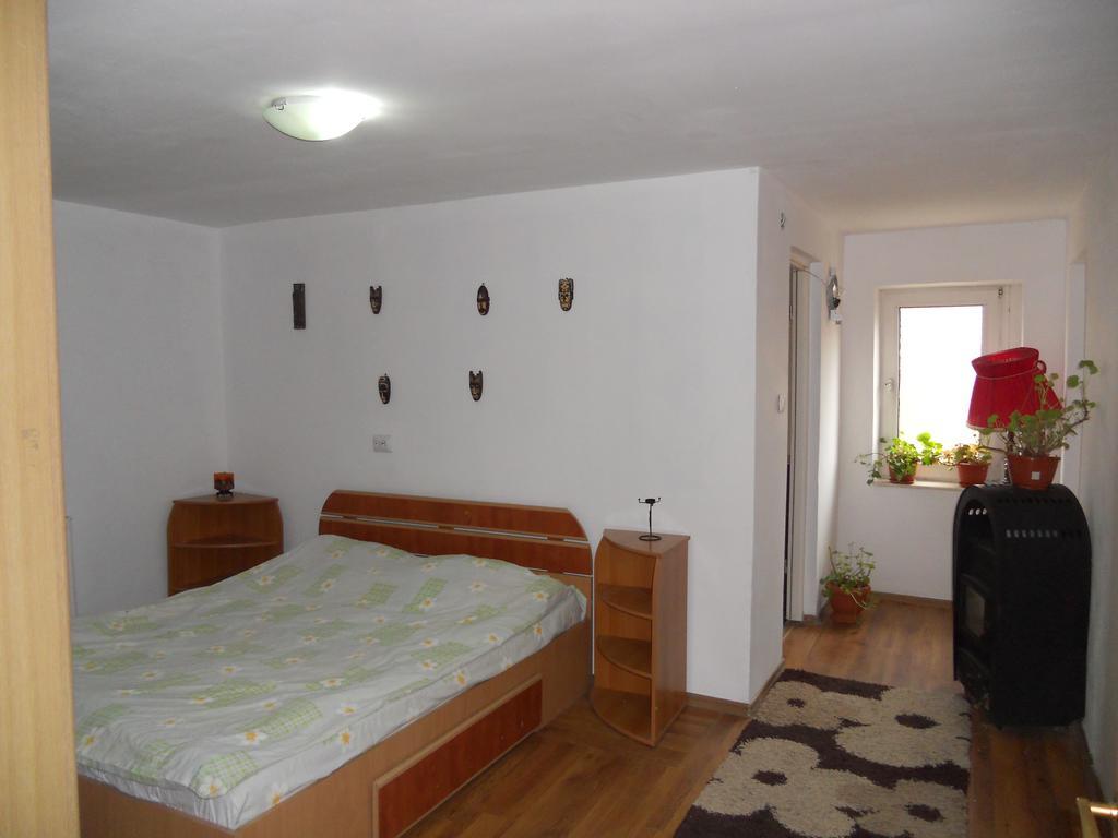 Cuibul Salamandrelor Hotel Сармизеджетуса Екстериор снимка