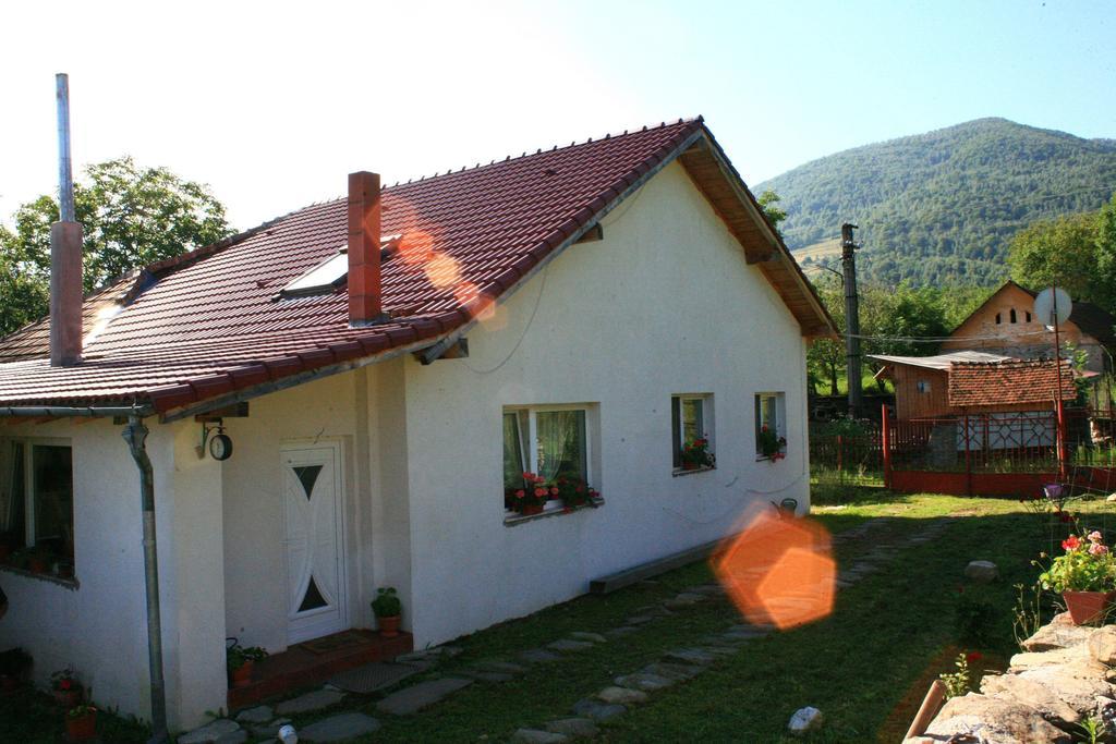 Cuibul Salamandrelor Hotel Сармизеджетуса Екстериор снимка
